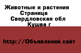  Животные и растения - Страница 13 . Свердловская обл.,Кушва г.
